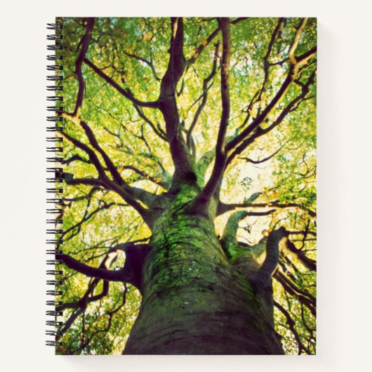 Carnet Arborescence (Devant)