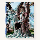 Carnet Arborescence de films fameux Wizard (Devant)