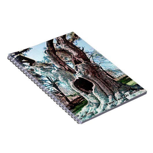 Carnet Arborescence de films fameux Wizard (Côté Droit)