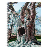 Carnet Arborescence de films fameux Wizard (Devant)