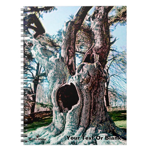 Carnet Arborescence de films fameux Wizard (Devant)