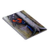 Carnet Arborist tree surgeon husqvarna (Côté Droit)