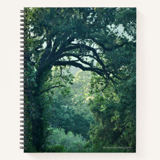 Carnet Arbre (Devant)