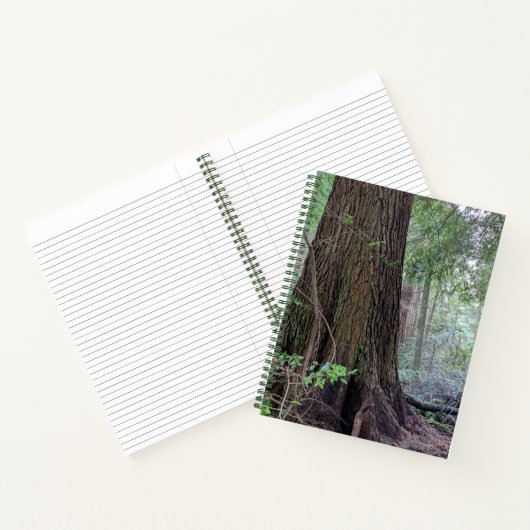 Carnet Arbre à conifères géant (Intérieur)