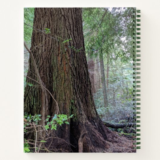 Carnet Arbre à conifères géant (Dos)