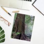 Carnet Arbre à conifères géant