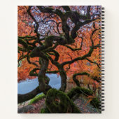 Carnet Arbre à érable japonais couleur automne (Dos)