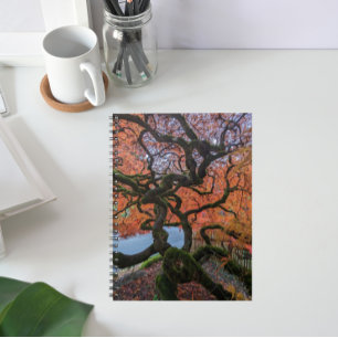 Carnet Arbre à érable japonais couleur automne