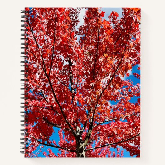 Carnet Arbre à feuilles rouges à l'automne (Devant)