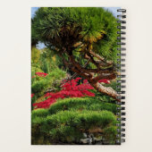 Carnet Arbre à pin noir et photo d'érable rouge japonais (Verso)
