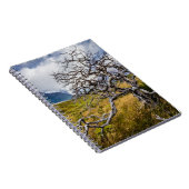 Carnet Arbre brûlé, Torres del Paine, Chili (Côté Droit)