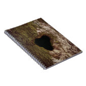 Carnet Arbre cardiaque (Côté Droit)