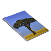 Carnet Arbre d'acacia isolé dans les plaines herbeuses, M (Côté Droit)
