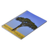 Carnet Arbre d'acacia isolé dans les plaines herbeuses, M (Côté gauche)