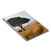 Carnet Arbre d'acacia isolé dans les plaines herbeuses, M (Côté Droit)