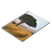 Carnet Arbre d'acacia isolé dans les plaines herbeuses, M (Côté gauche)