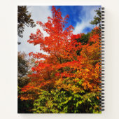Carnet Arbre d'automne (Dos)