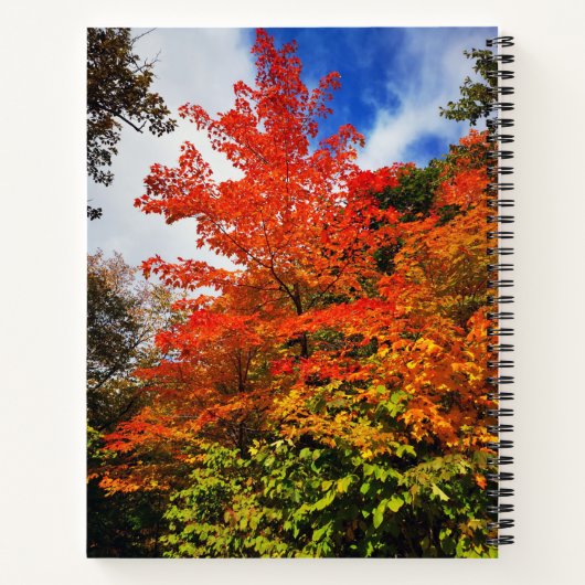 Carnet Arbre d'automne (Dos)