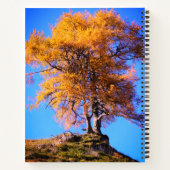 Carnet Arbre d'automne (Dos)