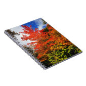 Carnet Arbre d'automne (Côté Droit)