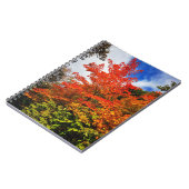 Carnet Arbre d'automne (Côté gauche)