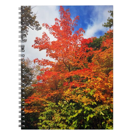 Carnet Arbre d'automne (Devant)