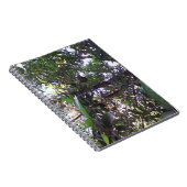 Carnet Arbre d'avocatier (Côté Droit)