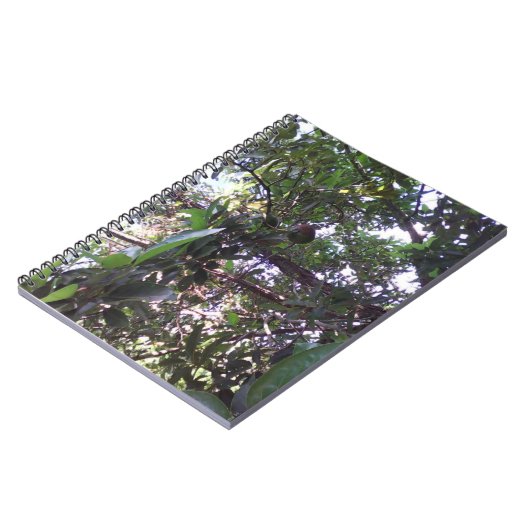 Carnet Arbre d'avocatier (Côté gauche)