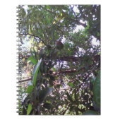 Carnet Arbre d'avocatier (Devant)