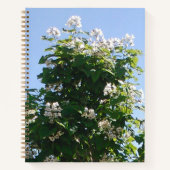 Carnet Arbre de Catalpa en fleurs (Devant)