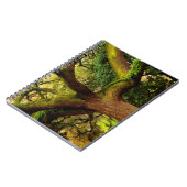 Carnet Arbre de chêne (Côté gauche)