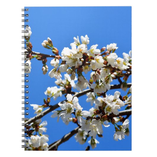 Carnet Arbre de printemps blanc fleuri blanc (Devant)