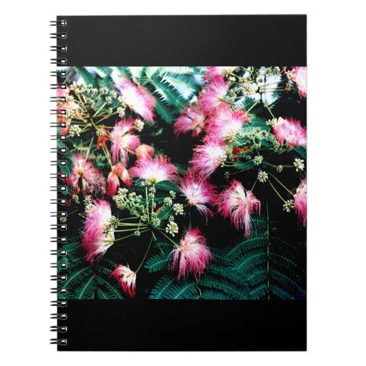 Carnet Arbre de soie (Devant)