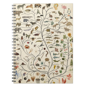 Carnet Arbre de vie