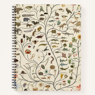 Carnet Arbre de vie