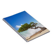 Carnet Arbre Divi Divi, Plage Eagle, Aruba, Caraïbes (Côté Droit)