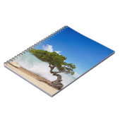 Carnet Arbre Divi Divi, Plage Eagle, Aruba, Caraïbes (Côté gauche)