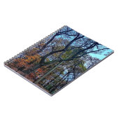 Carnet Arbre étiré (Côté gauche)