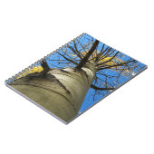 Carnet Arbre grand de tremblement Aspen (Côté gauche)