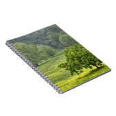 Carnet Arbre isolé dans un champ agricole, Toscane, 2 (Côté Droit)