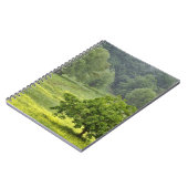 Carnet Arbre isolé dans un champ agricole, Toscane, 2 (Côté gauche)