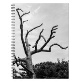 Carnet arbre libre (Devant)