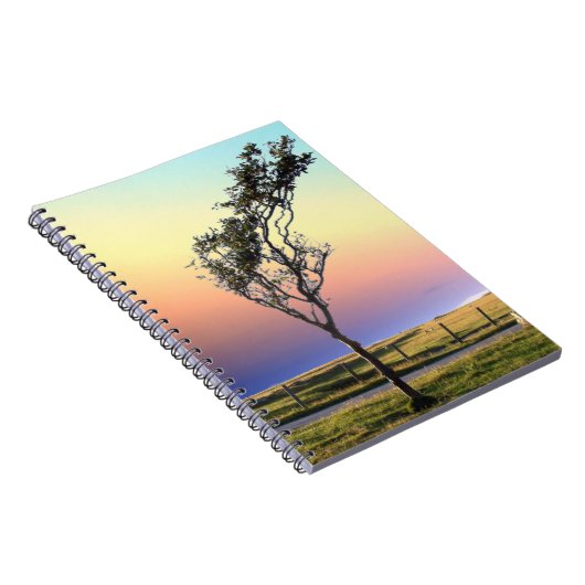 CARNET ARBRE LONE (Côté Droit)