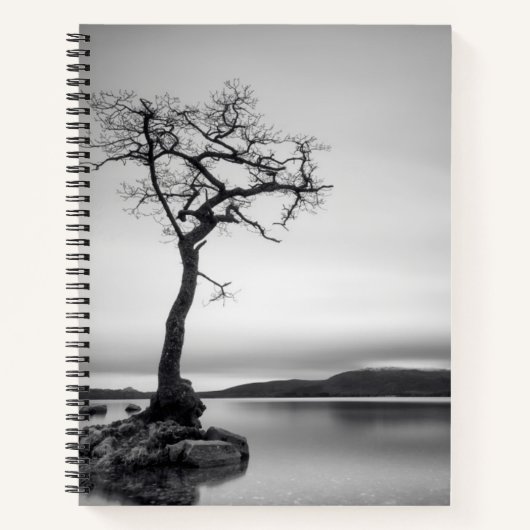 Carnet Arbre nu (Devant)