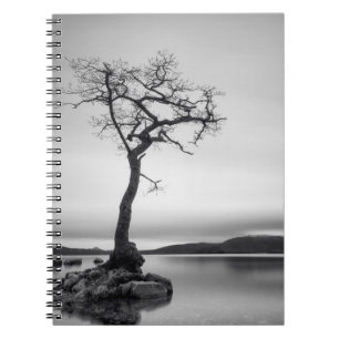 Carnet Arbre nu