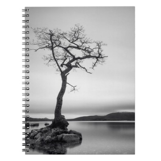 Carnet Arbre nu (Devant)