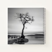 Carnet Arbre nu (Dos)