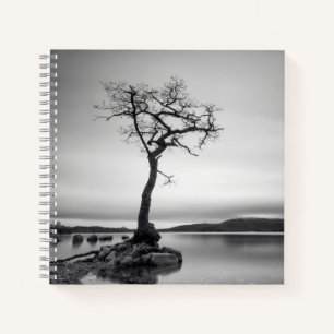 Carnet Arbre nu