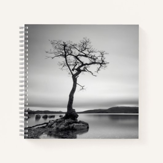 Carnet Arbre nu (Devant)