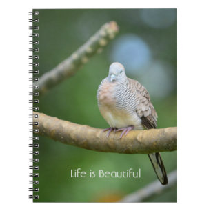 Carnet Arbre Oiseau Kauai (ma photographie)